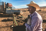 La fin del dìa en el Rancho. Poster och Canvastavla