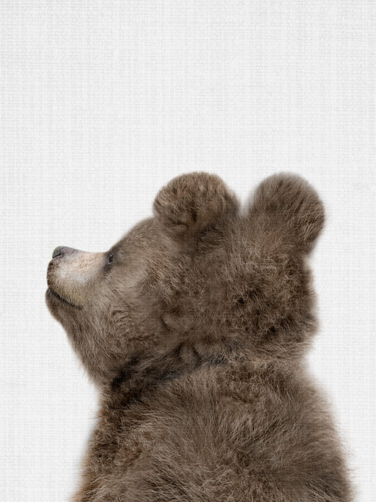 Peekaboo Baby Bear Back Poster och Canvastavla