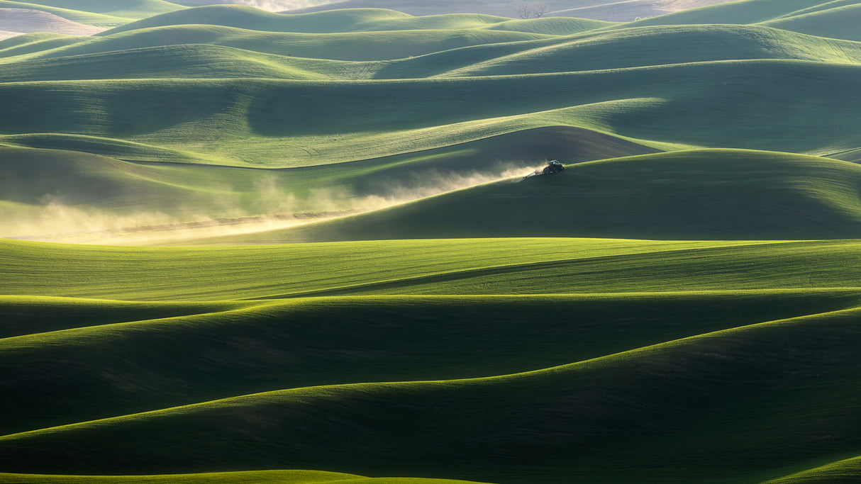 Palouse In Spring Poster och Canvastavla