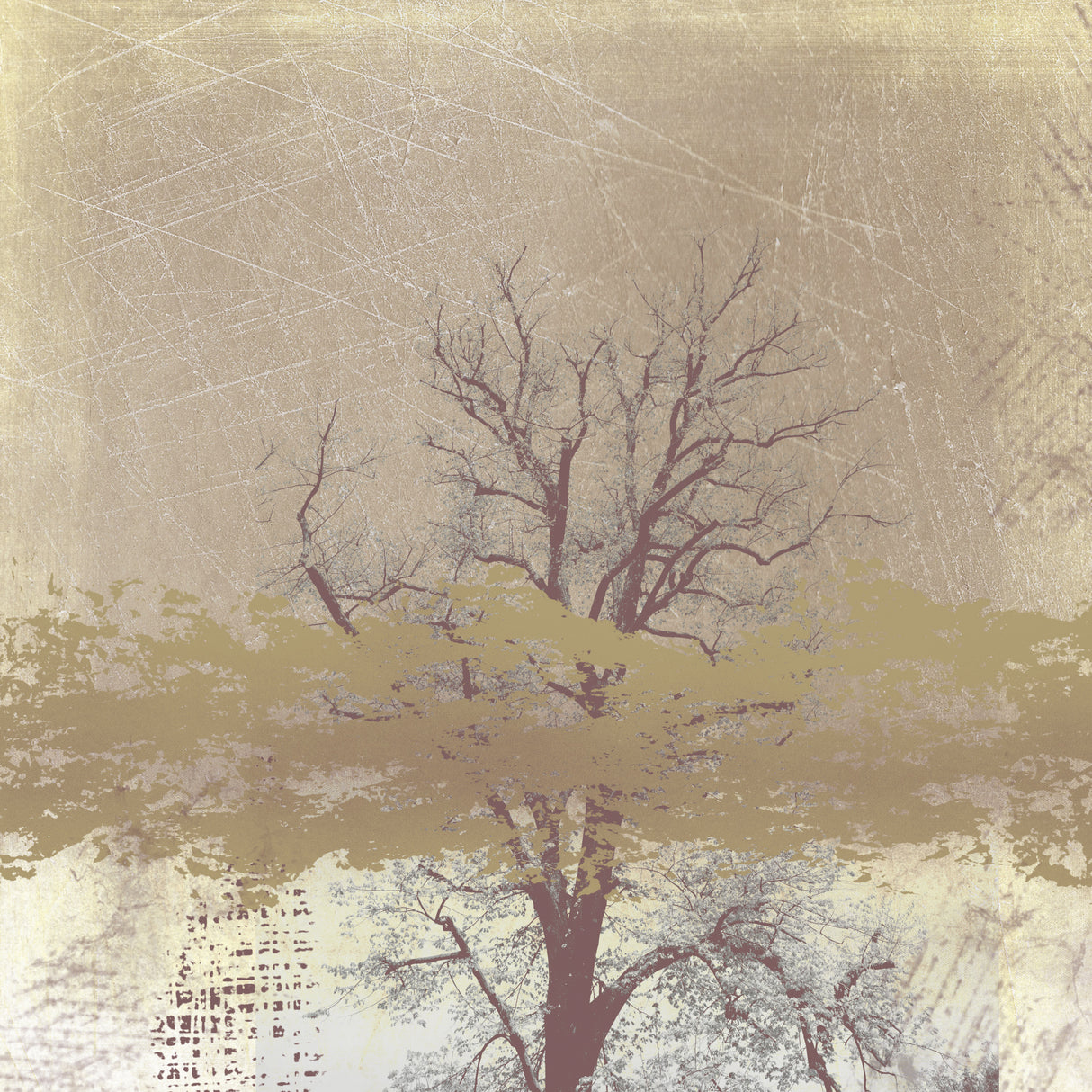 Dreamy landscape in winter Poster och Canvastavla