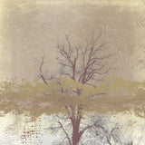 Dreamy landscape in winter Poster och Canvastavla