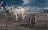 Woman at a mundari catlle camp - South Sudan Poster och Canvastavla