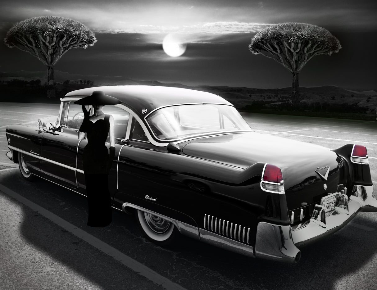 NIGHT OF THE FULL MOON Poster och Canvastavla