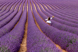 Violet Poster och Canvastavla
