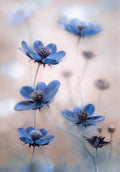 Cosmos blue Poster och Canvastavla
