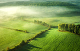 Above the mist Poster och Canvastavla
