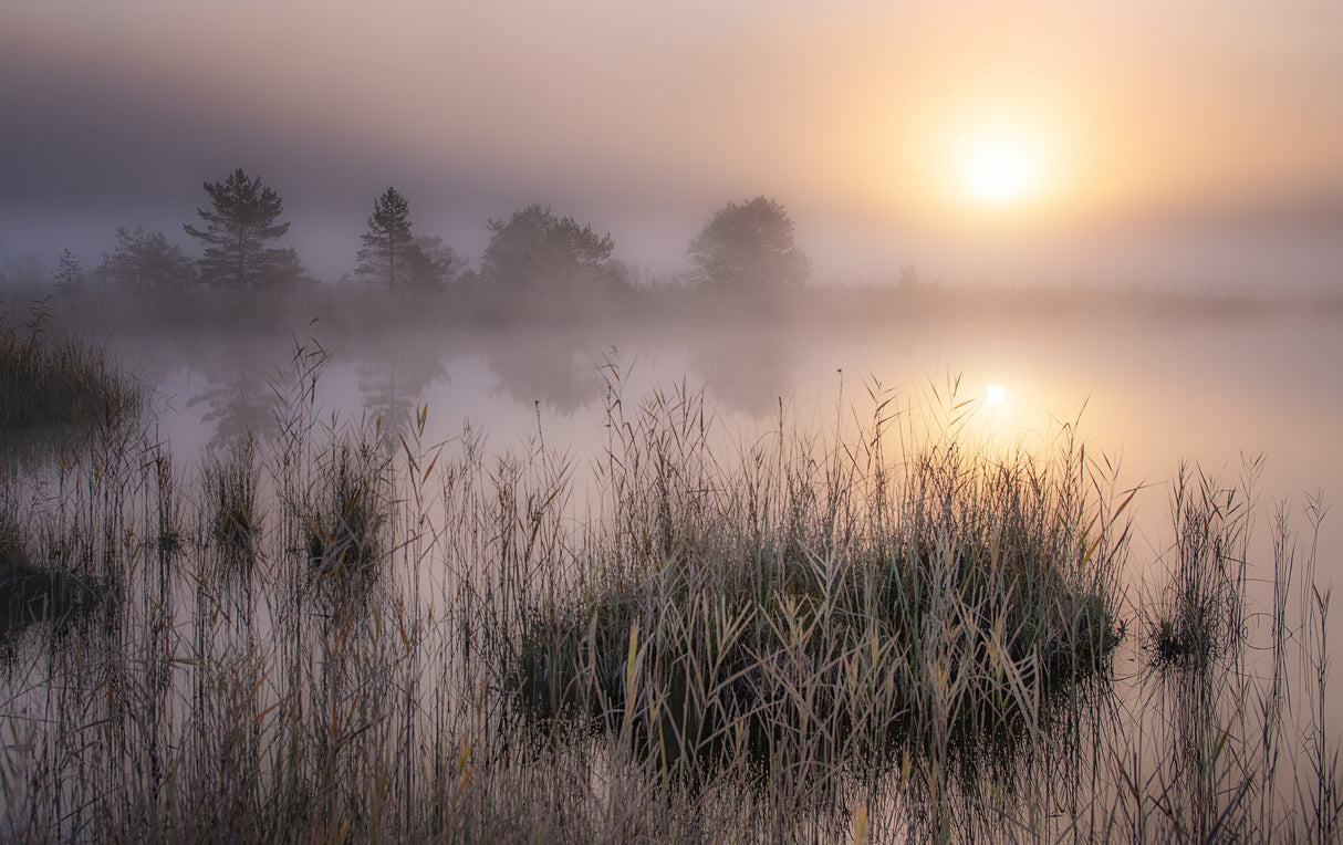 Cold Autumn Morning Poster och Canvastavla