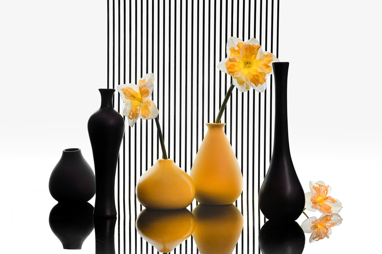 Spring Daffodils Poster och Canvastavla