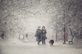 Snow storm charm Poster och Canvastavla