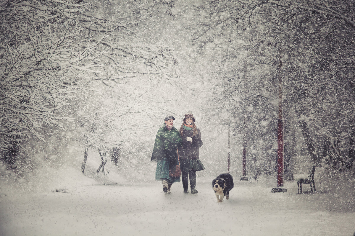 Snow storm charm Poster och Canvastavla