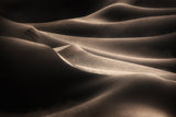Desert hip Poster och Canvastavla