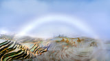 Fog bow in rice terraces Poster och Canvastavla