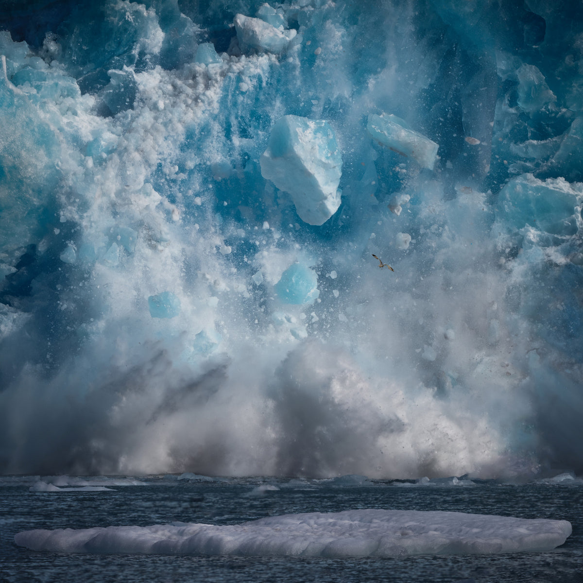 ice burg falling Poster och Canvastavla