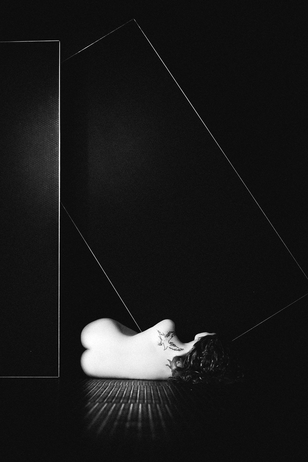 Nude Forms Poster och Canvastavla