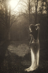 AT THE HEART OF AUTUMN Poster och Canvastavla