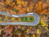Autumn bend Poster och Canvastavla