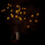 Autumn harvest Poster och Canvastavla