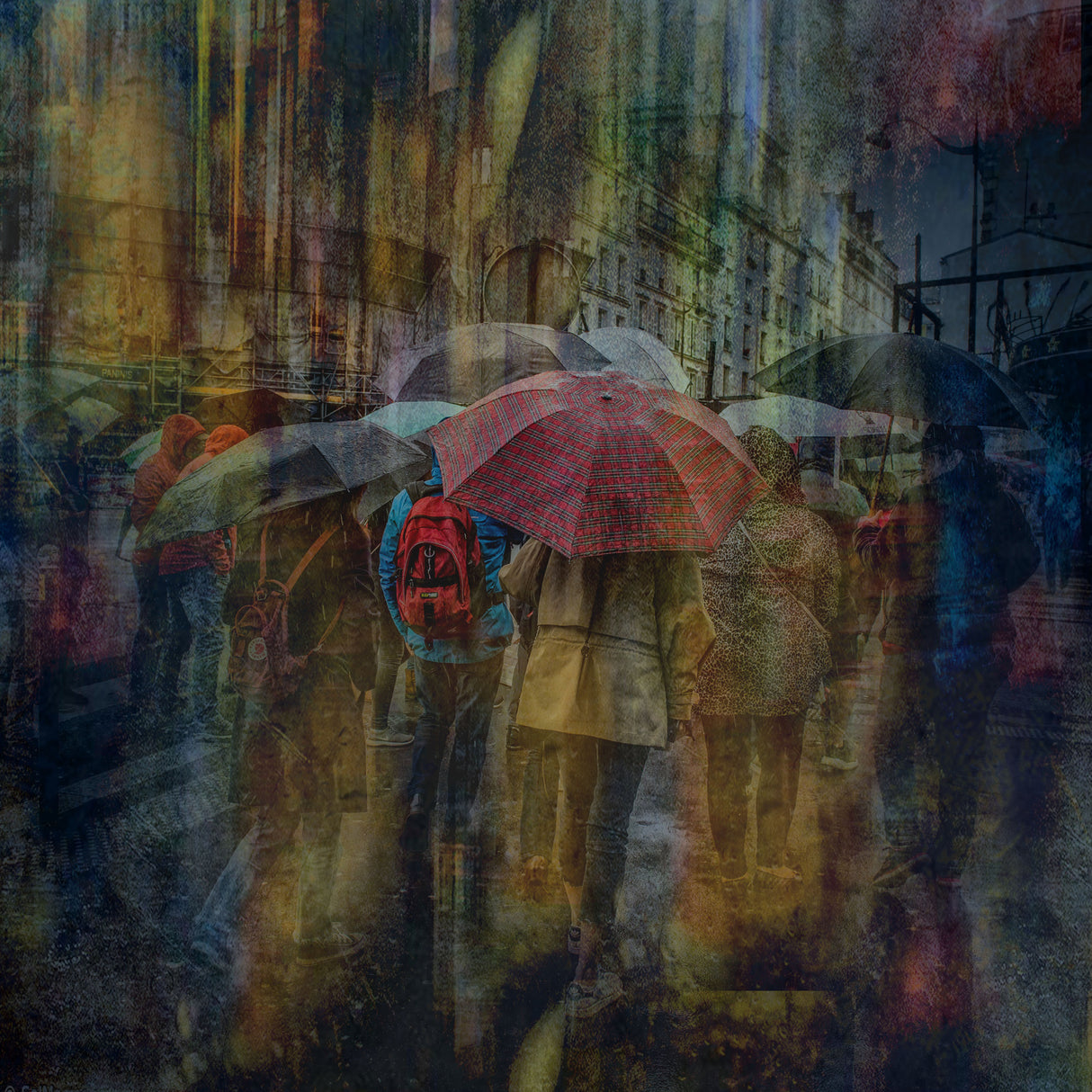 it's raining Poster och Canvastavla