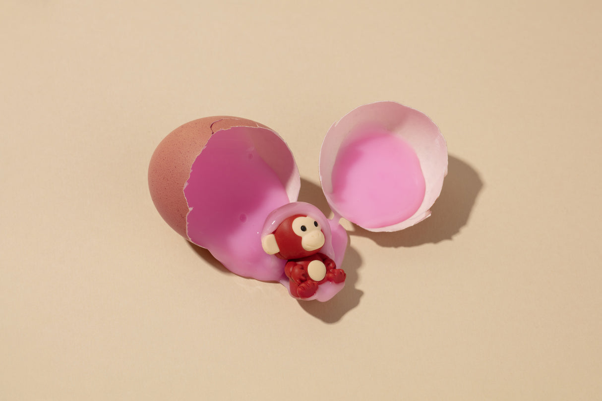 Monkey egg Poster och Canvastavla