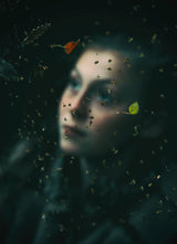 Behind the web..... Poster och Canvastavla