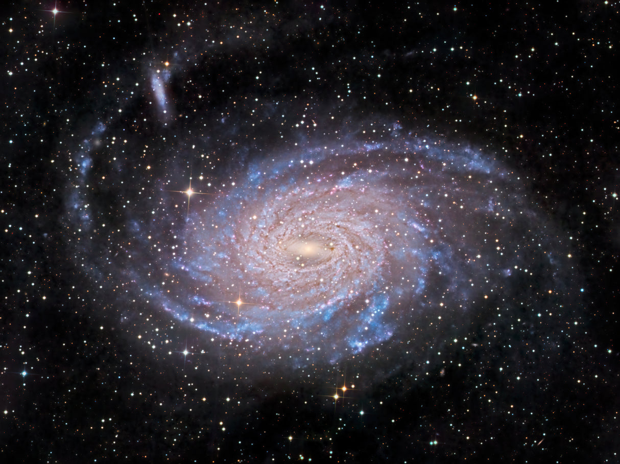 NGC 6744 Galaxy Poster och Canvastavla