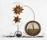 Herbarium...2 Poster och Canvastavla