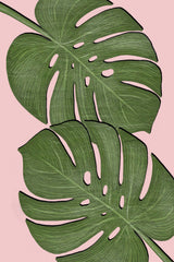 Leaves Poster och Canvastavla
