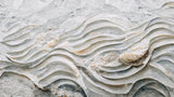 Sea Shell Detail No 6 Poster och Canvastavla