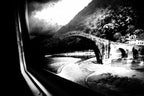 along the Serchio river 4/5 Poster och Canvastavla