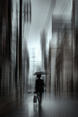 Back home Poster och Canvastavla
