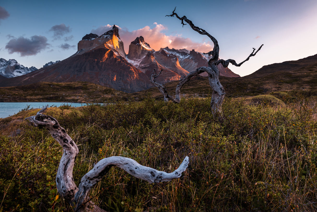 Dance under the Torres del Paine Poster och Canvastavla