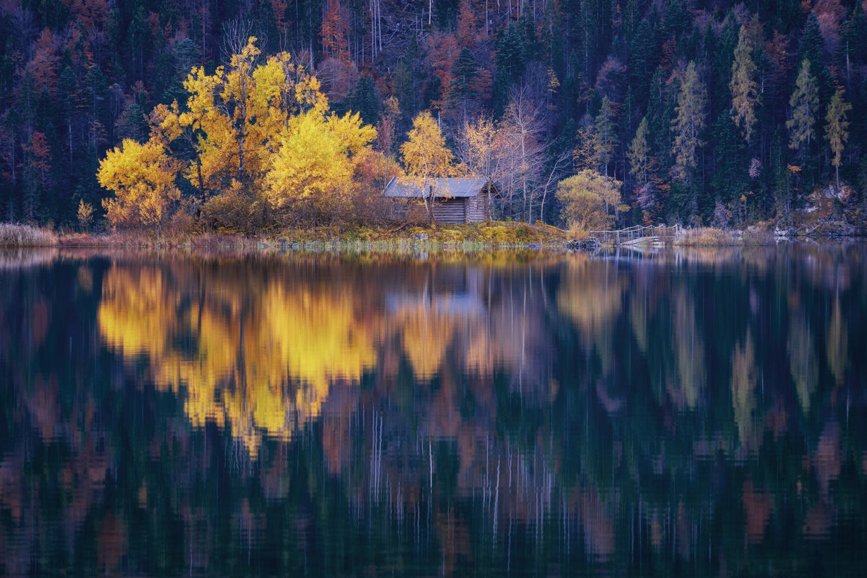 That Autumn Feeling Poster och Canvastavla