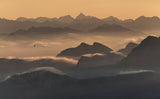 The Aviator Poster och Canvastavla