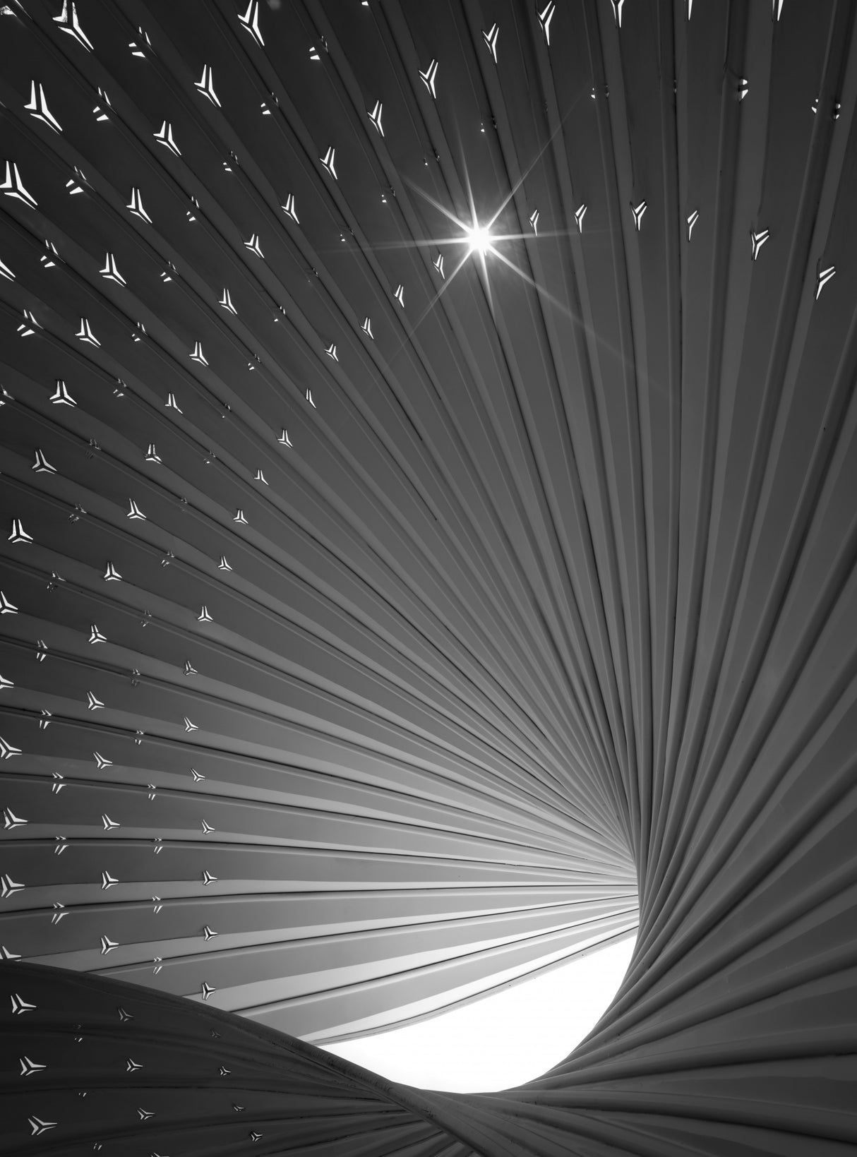 B&amp;W Lines Poster och Canvastavla