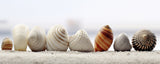 Beach Impressions No 23 Poster och Canvastavla