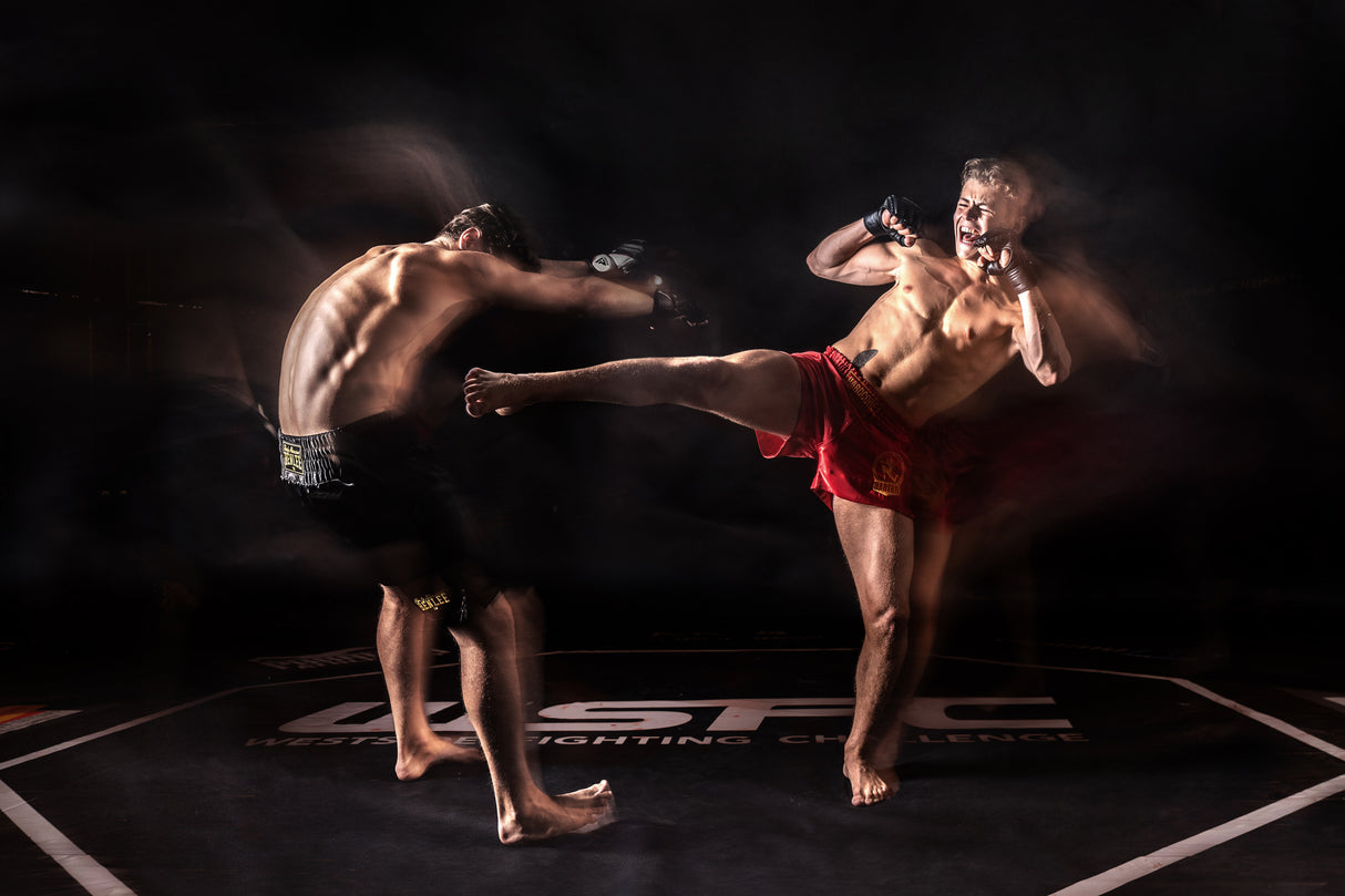 GhostFighter Poster och Canvastavla