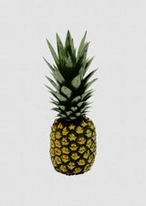 Pineapple Poster och Canvastavla