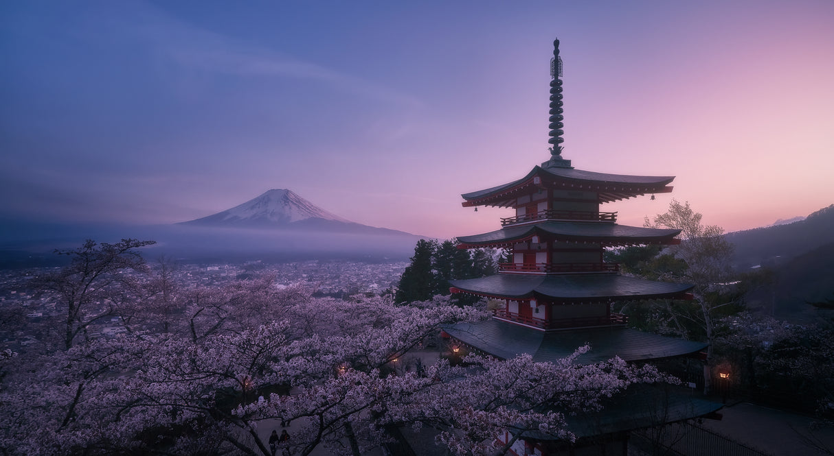 Mt Fuji Sakura Poster och Canvastavla