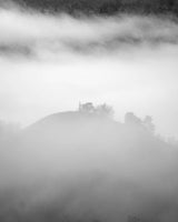 FOG MONRNING Poster och Canvastavla