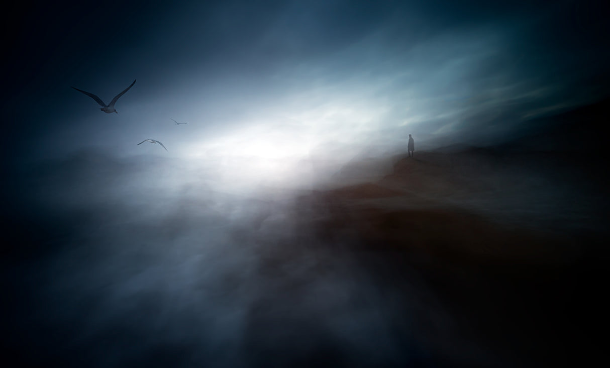 Misty morning on the coast of the birds Poster och Canvastavla