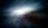 Misty morning on the coast of the birds Poster och Canvastavla