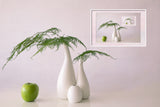 Asparagus fern &amp; apple Poster och Canvastavla