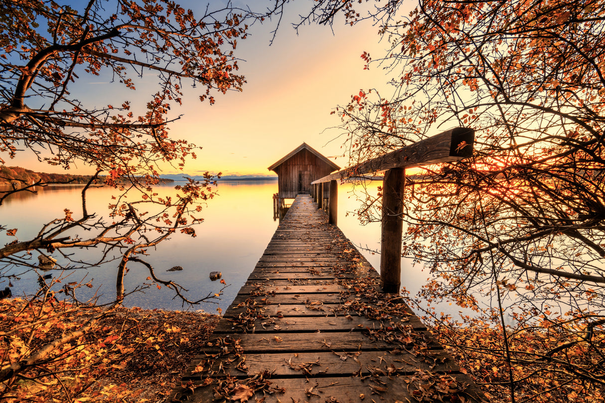 Autumn at the lake Poster och Canvastavla