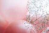 Blooms and Balloons - You plus me Poster och Canvastavla