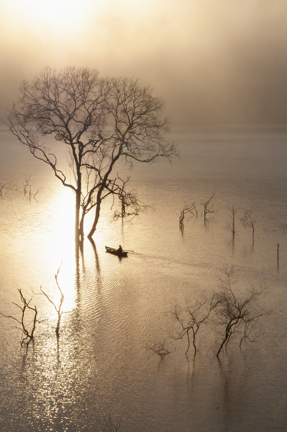 Morning on the lake Poster och Canvastavla