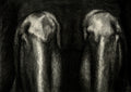 Knees Poster och Canvastavla