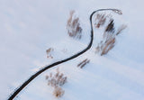 The road curve Poster och Canvastavla