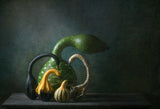 Swan Gourds Poster och Canvastavla