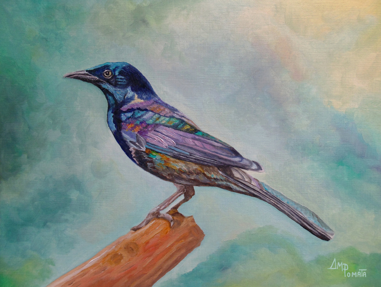 Dressed In Lights Common Grackle Poster och Canvastavla