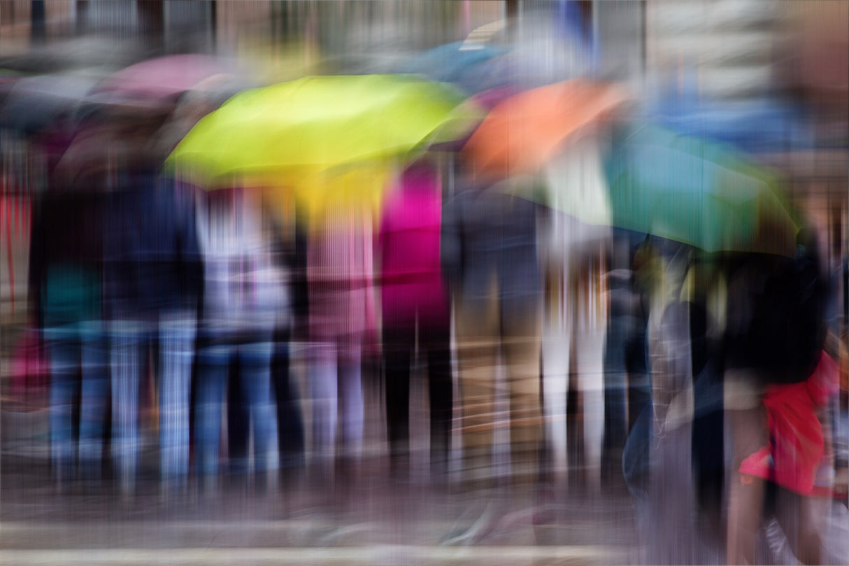Windy, rainy day Poster och Canvastavla